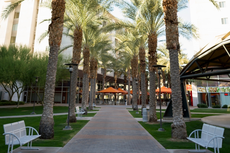 5 hidden study spots on ASU’s Tempe campus The State Press