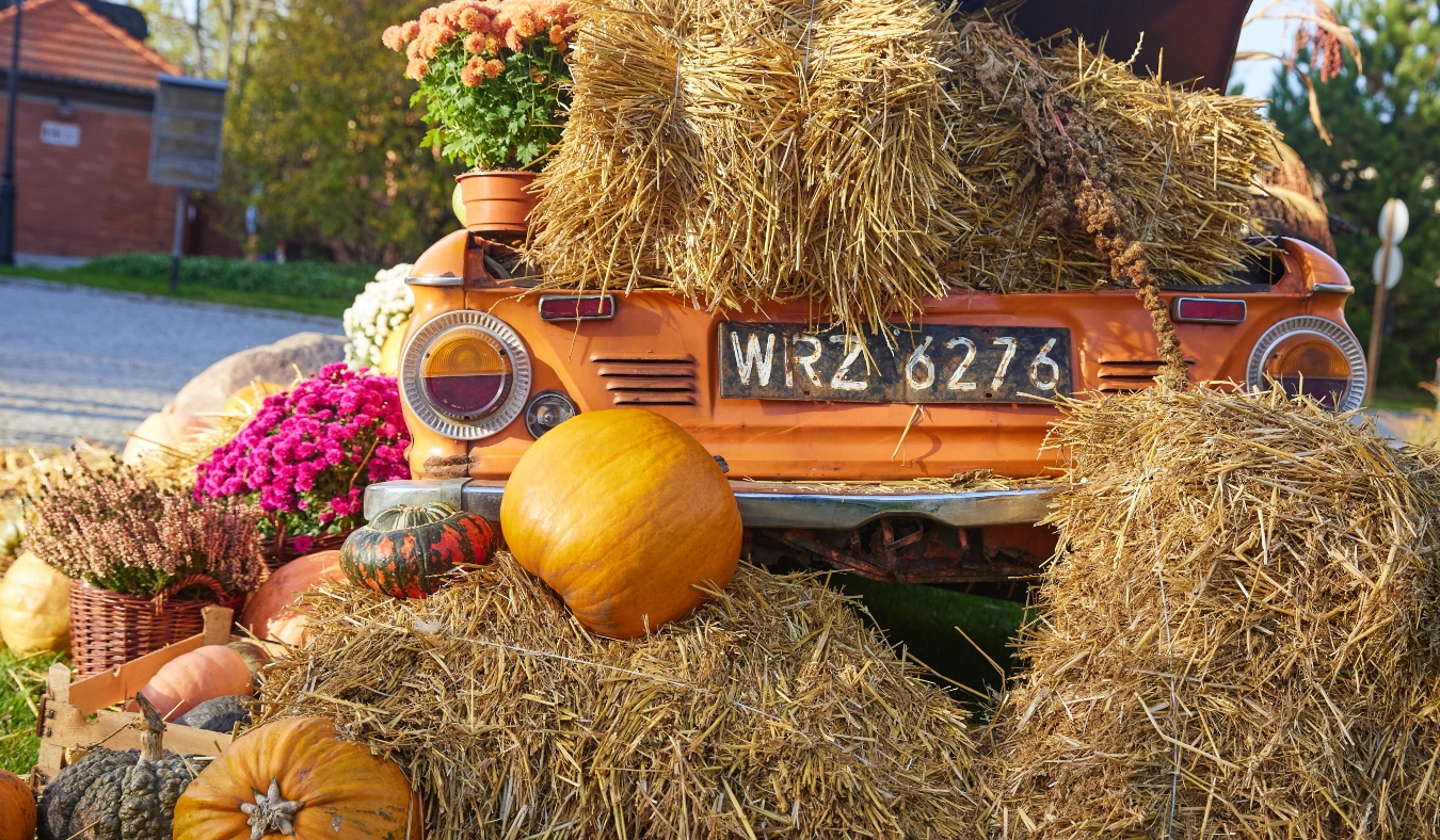fall harvest festival the decorations created with hay pumpkins