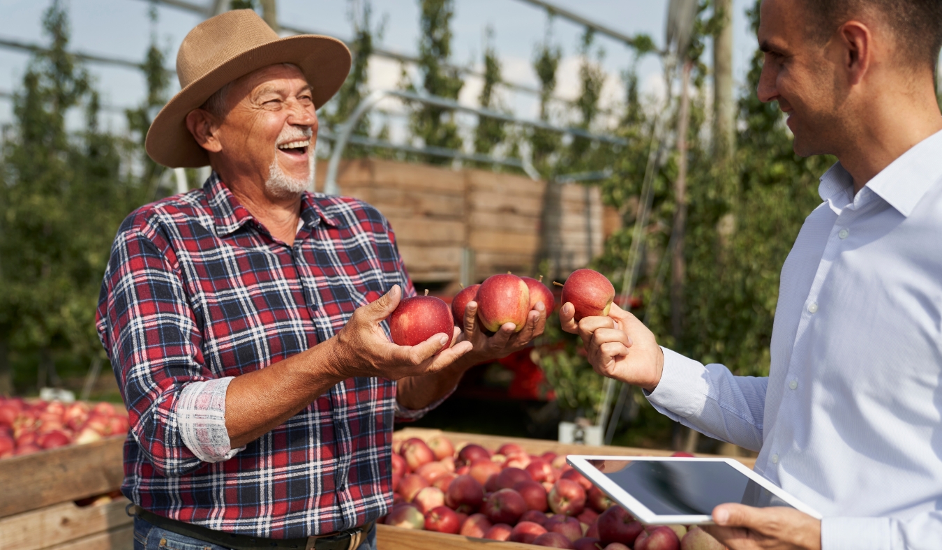 mature farmer selling apples at his orchard