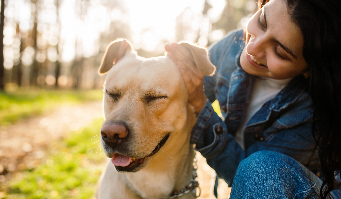 woman with labrador smiling in autumn woods