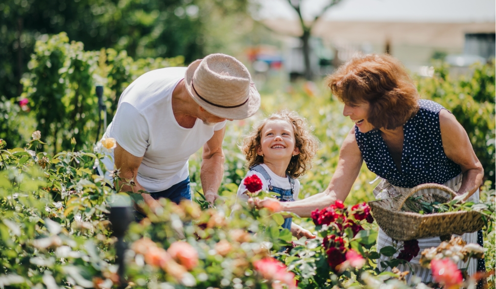 summer grandparents picking flowers with granddaughter