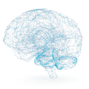 brain scan 1000px
