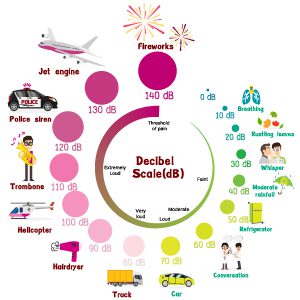 infographic of decibel readings of common summer activities
