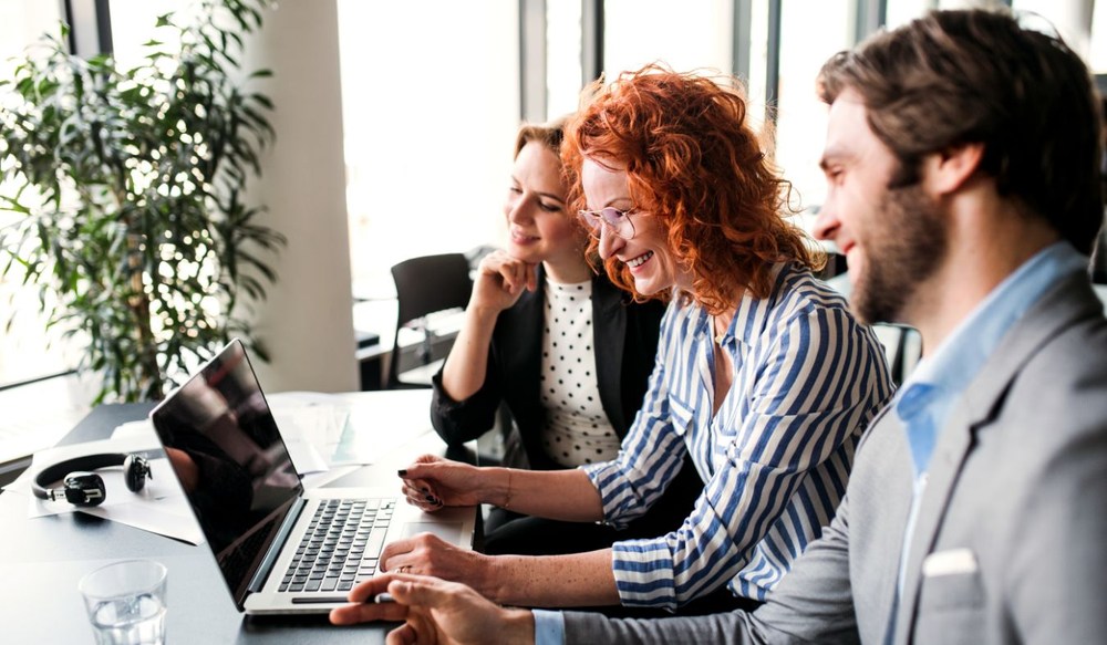 business professionals using laptop