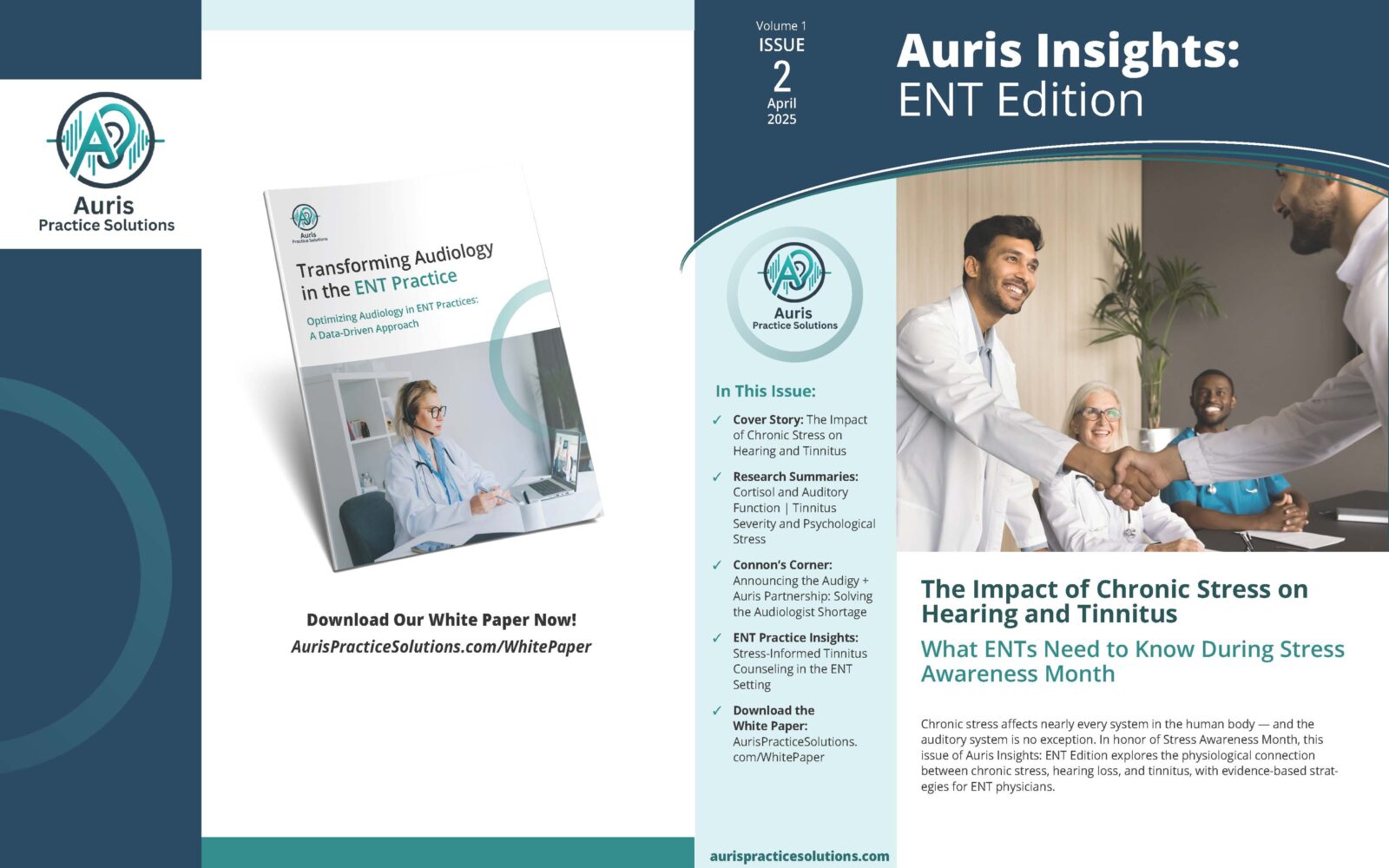 AurisInsights v01 i02 Page 1