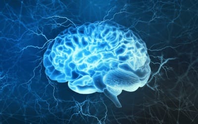 Brain hearing 400x250