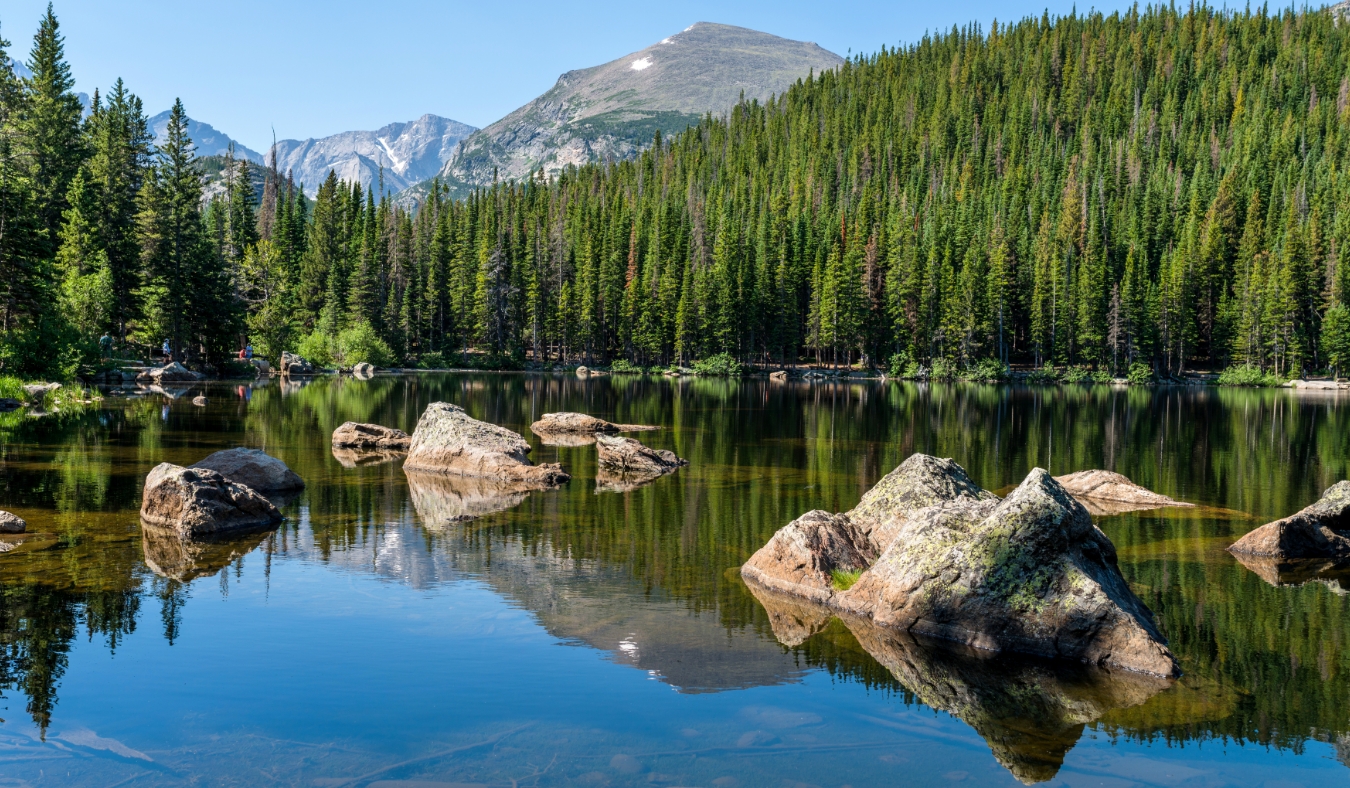 A sunny summer morning view of a rocky section of lake