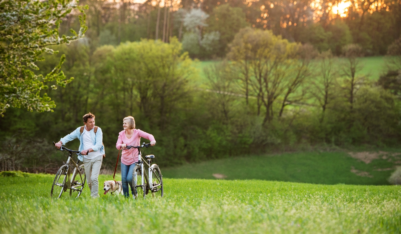 Beautiful senior couple with bicycles outside in spring nature