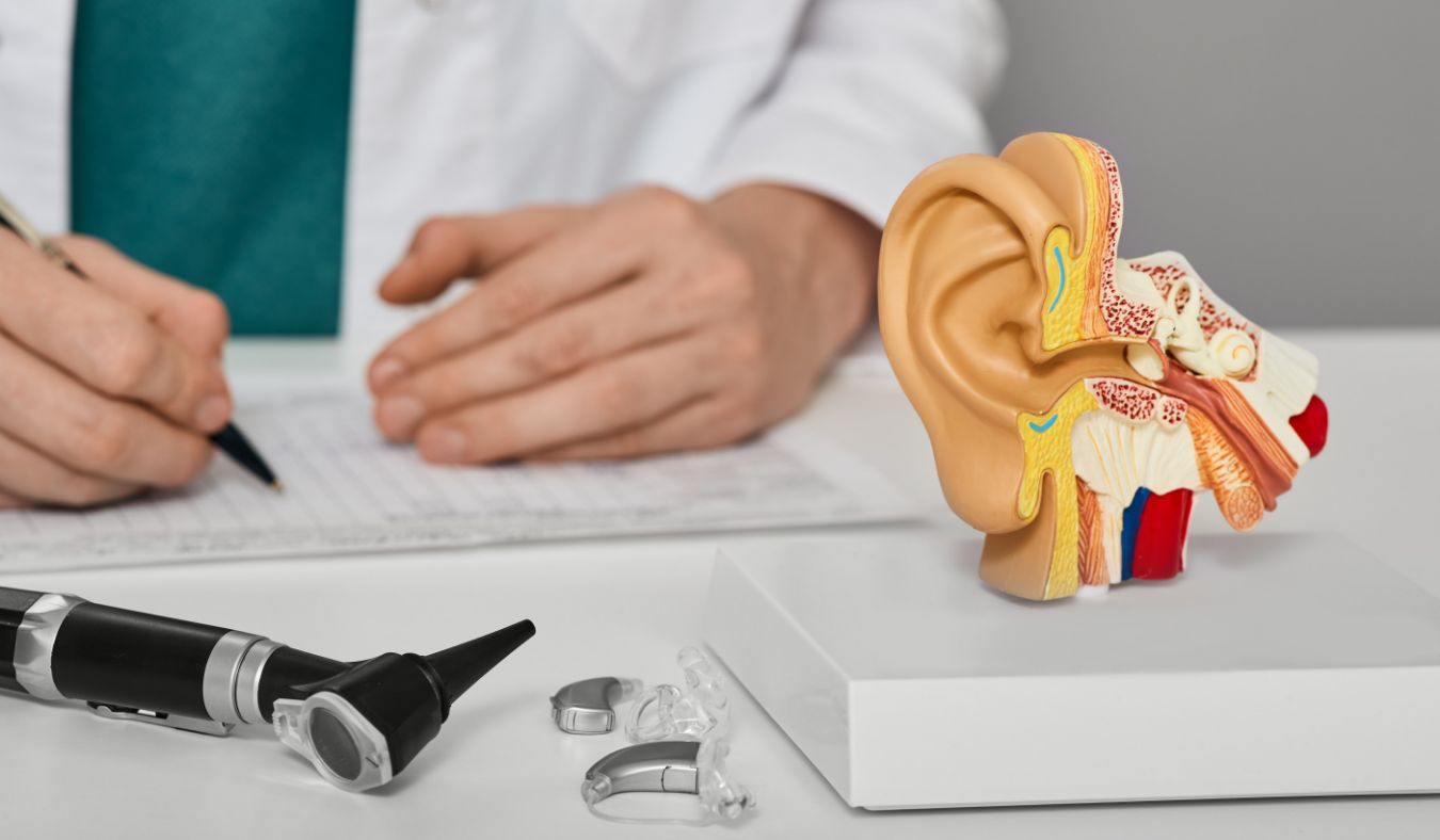 hearing clinic consultation