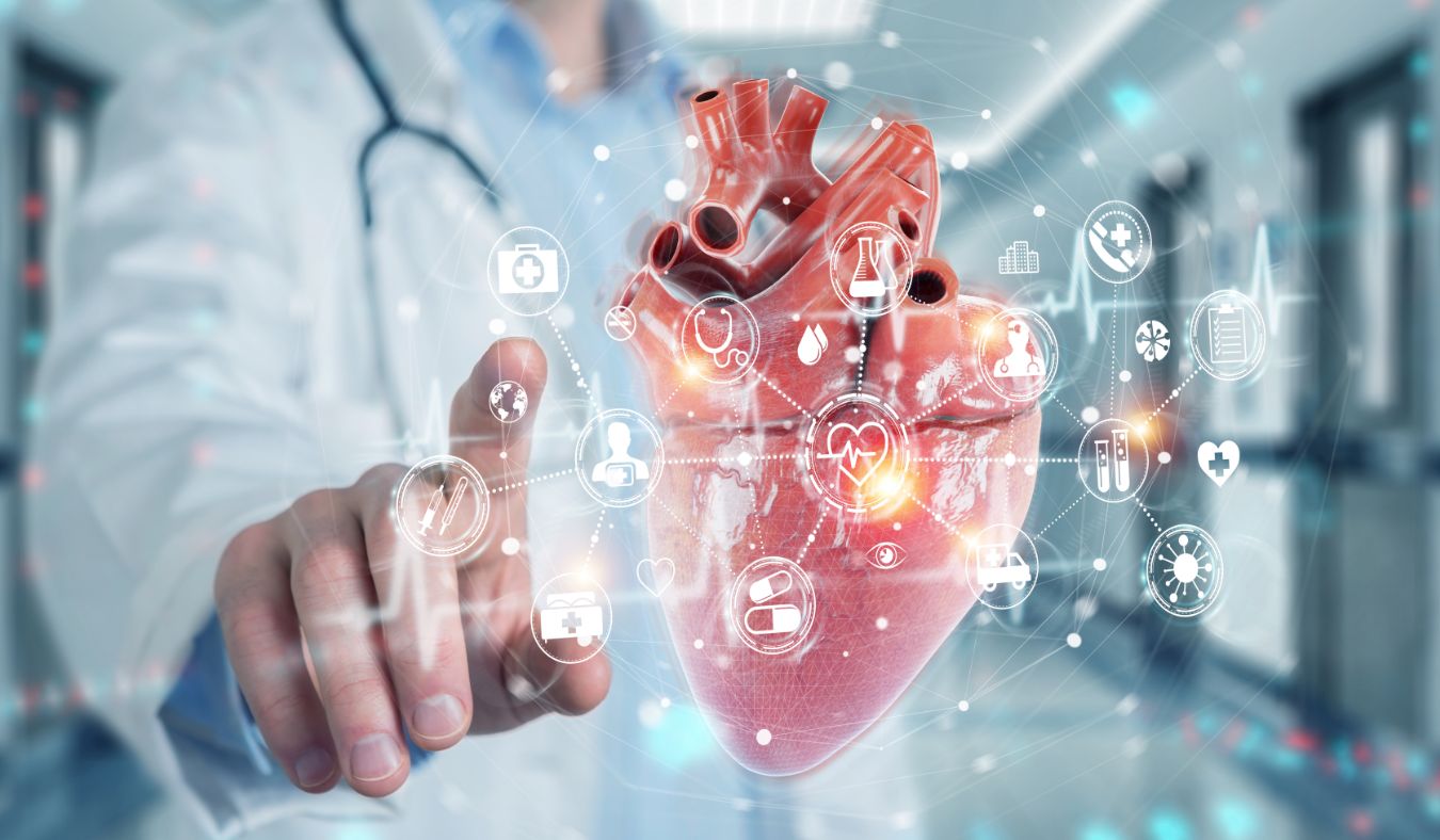 heart health connections