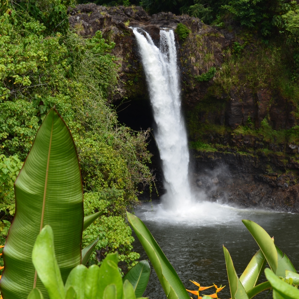 square content image hawaiian waterfall