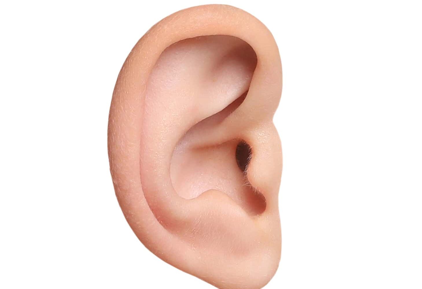 bigstock Human Ear Isolated On White O 457790333