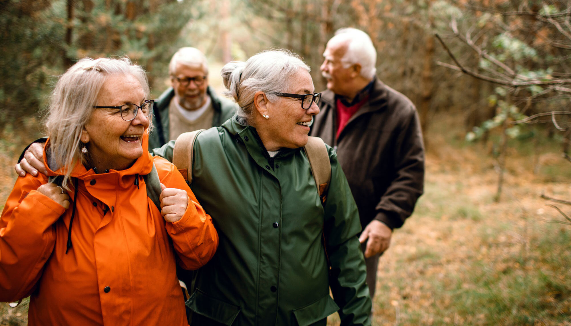 senior friends laughing together on forest hike in raincoats
