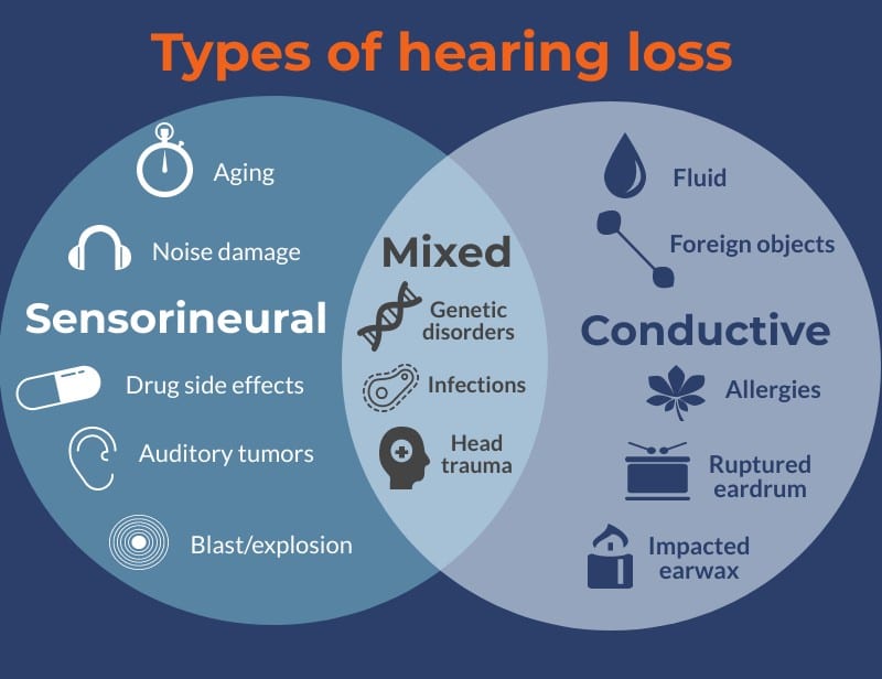 Can Hearing Loss Be Prevented? Harbor Audiology & Hearing Services