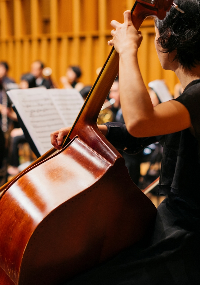 orchestra performing