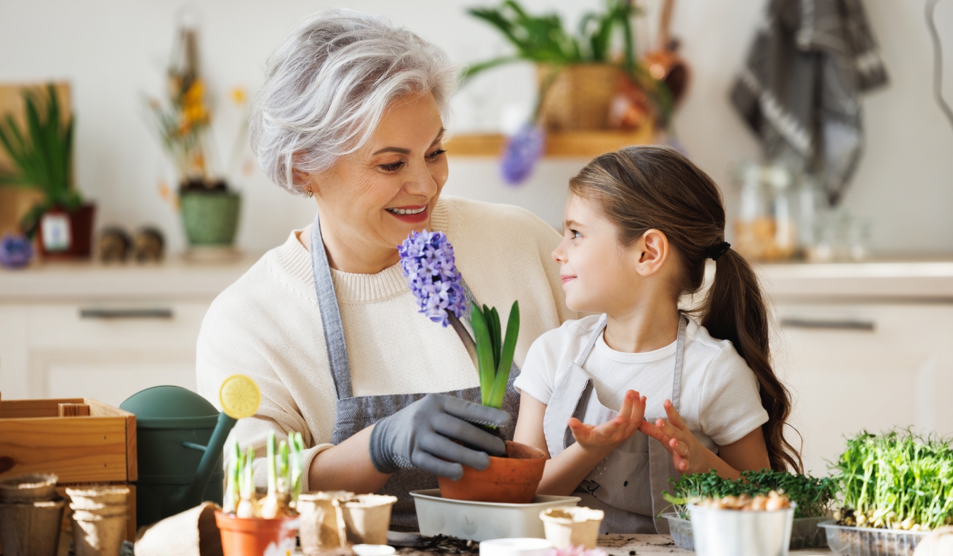 Cheerful granny and smiling granddaughter transplanting spring flower in pot while sitting together at table in kitchen