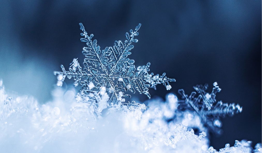 winter snowflake
