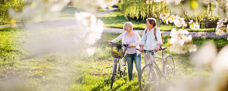 spring mature couple biking outdoors with blossoming trees spring mature couple biking outdoors with blossoming trees