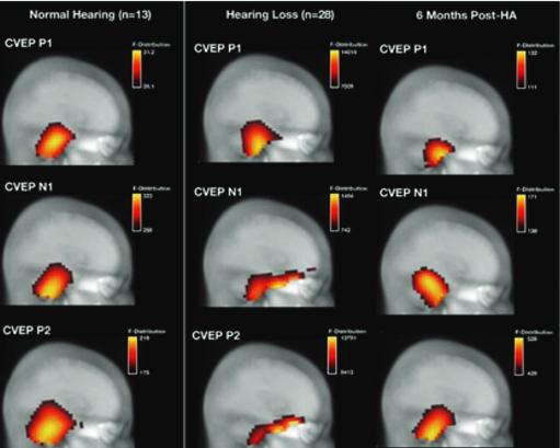 cognitive funtion footnote 12