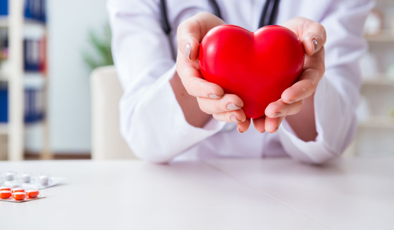 doctor holding heart