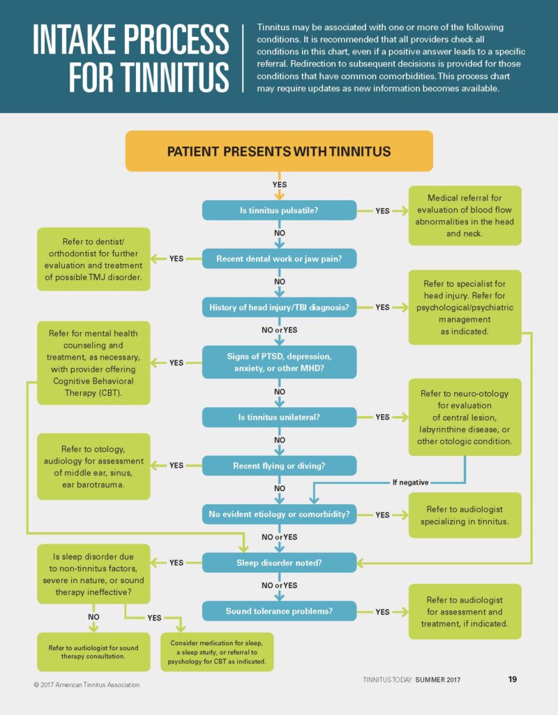 Intake Process for Tinnitus