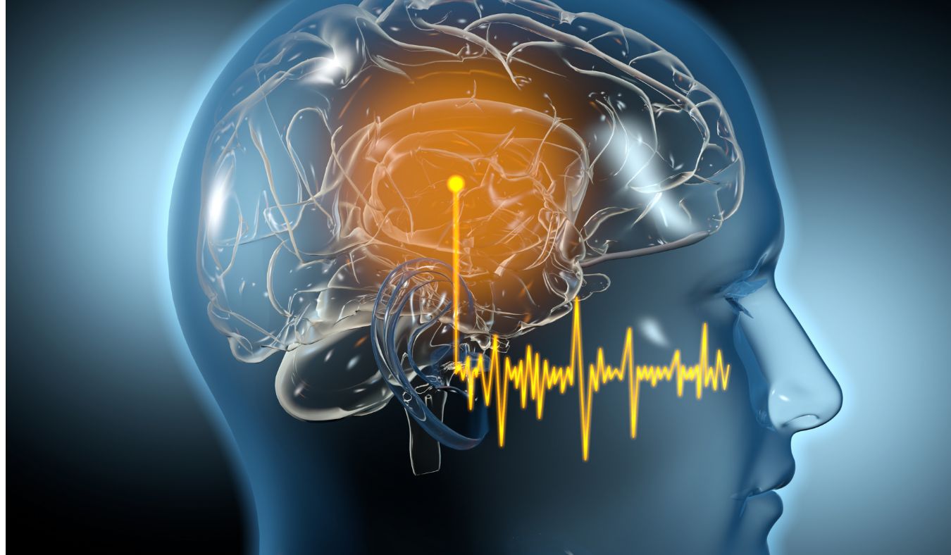 tinnitus brain hearing connection