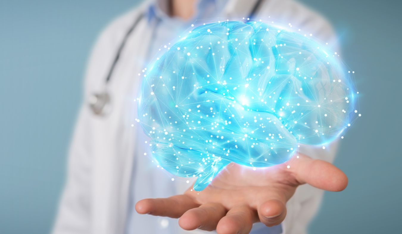 ent brain image in hand