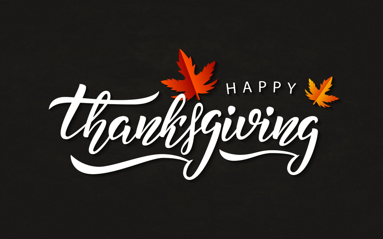 Vector realistic isolated typography logo for Happy Thanksgiving Day with autumn leaves for decoration and covering on the chalk background