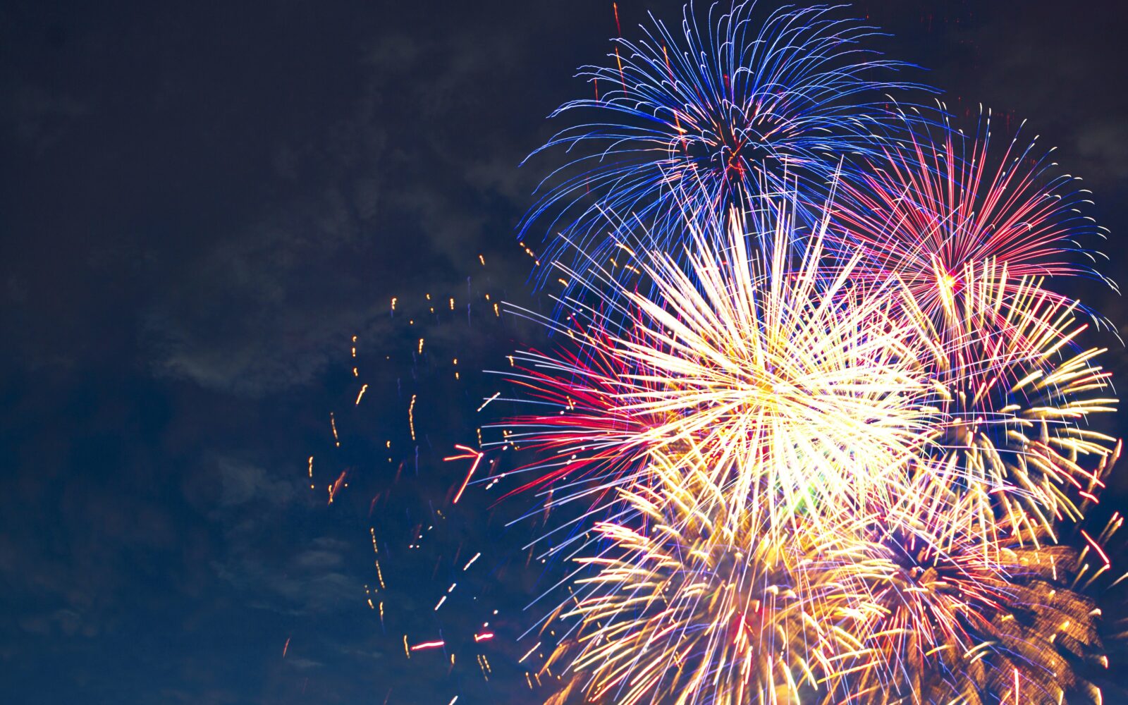Beautiful colorful fireworks on sky