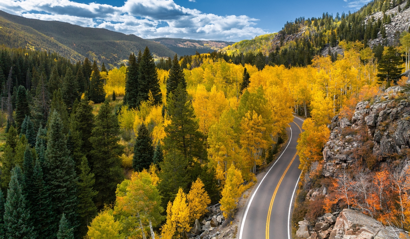autumn trees in mountainside