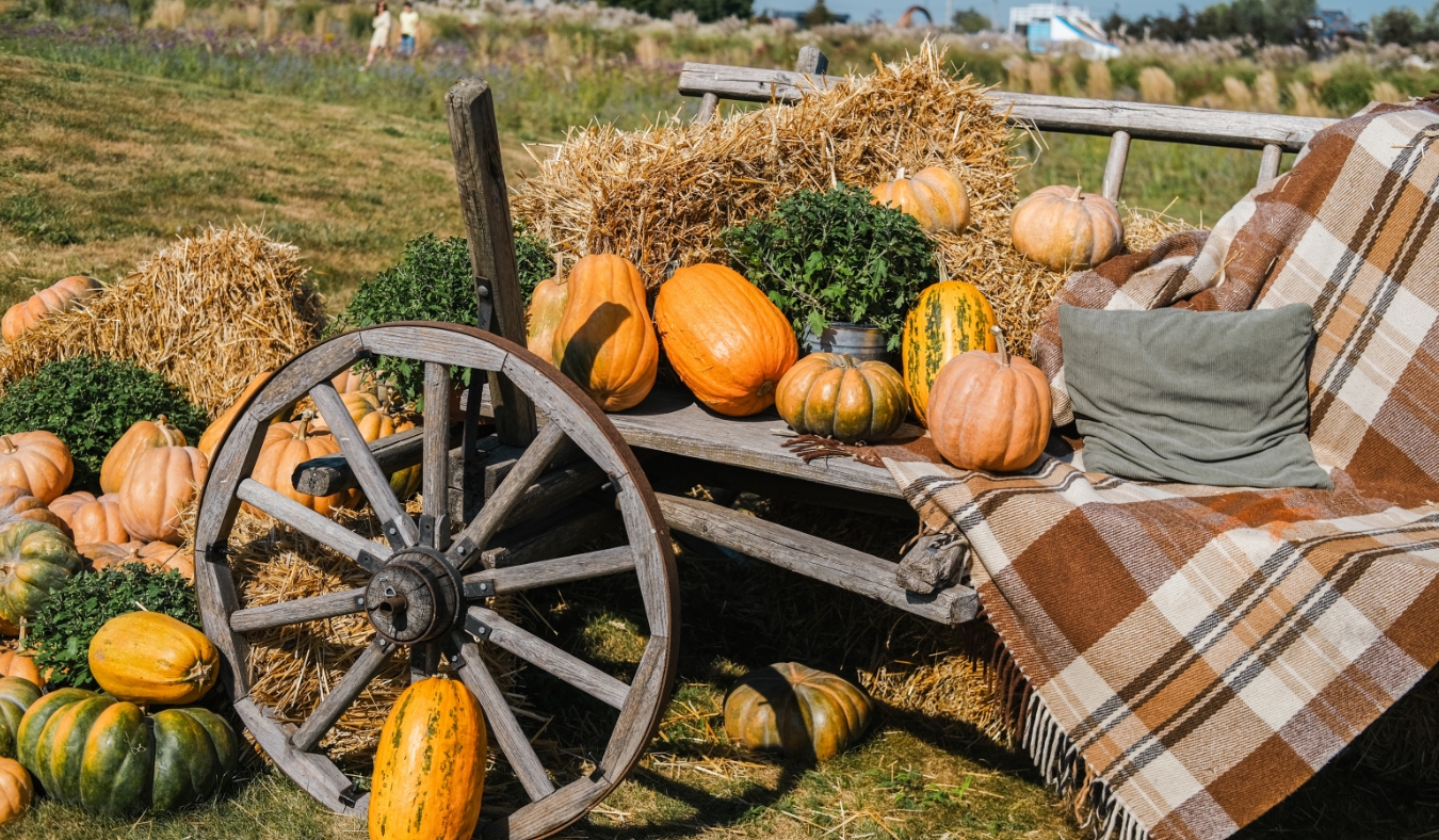rustic wagon filled with colorful pumpkins