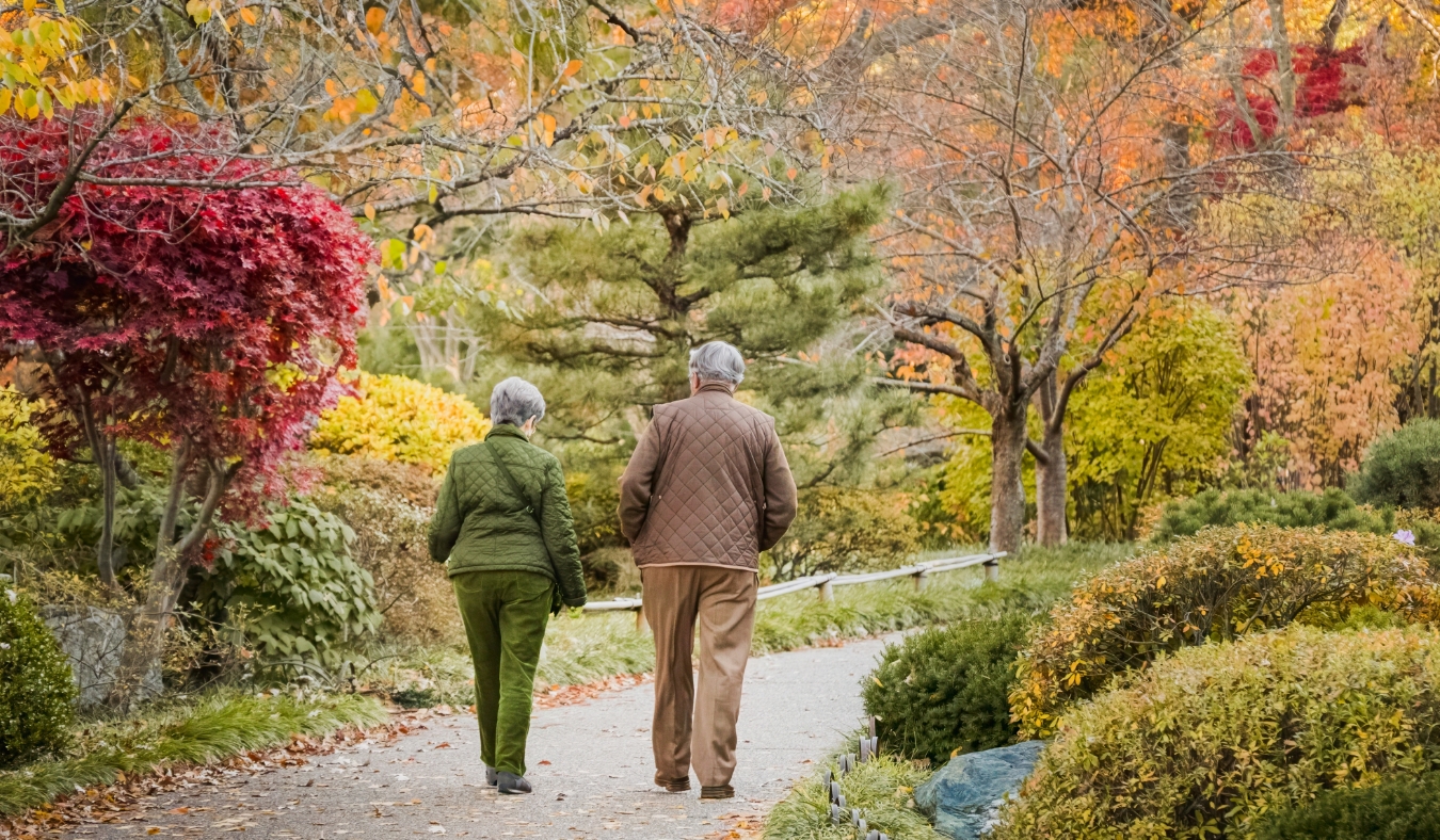 senior couple enjoying autumn leaves in park