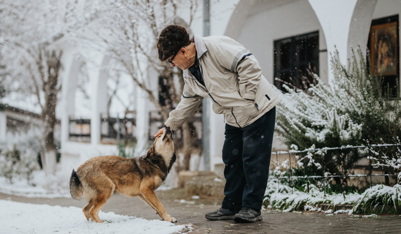 older man petting dog on a snowy day
