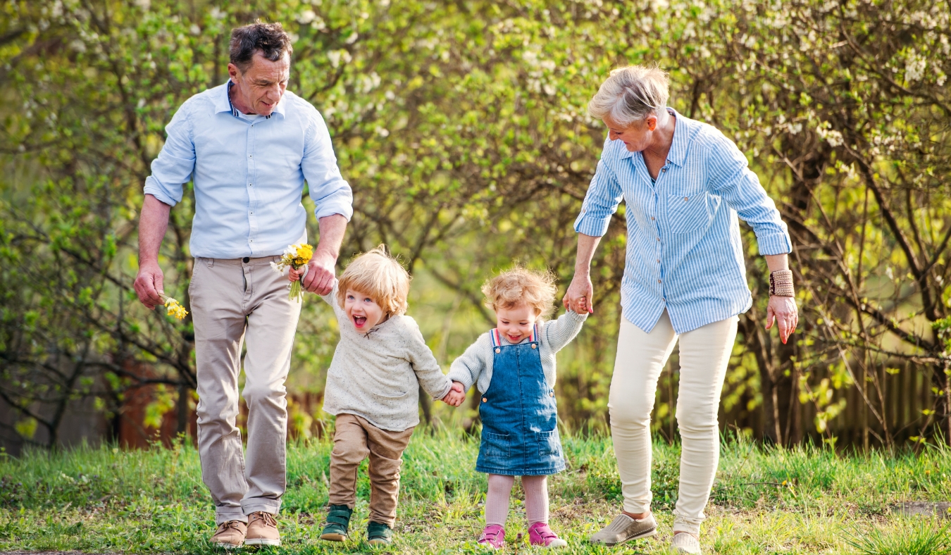 Senior grandparents with toddler grandchildren walking in nature in spring