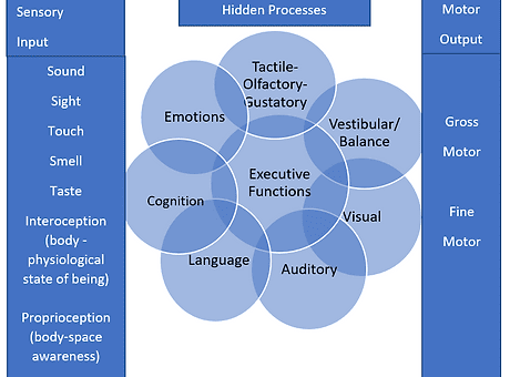 input output 1