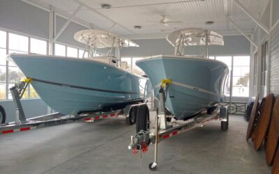 Regulator Models Staying Out of the Cold