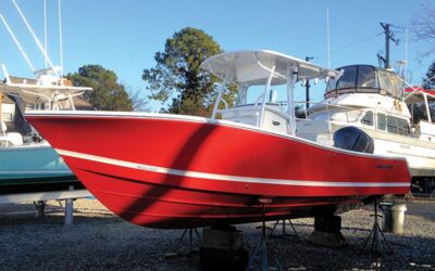 Fresh Delivery of a Bold Regulator 24