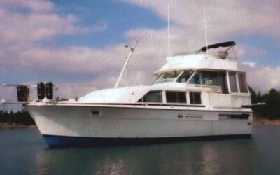 New Boat Owner Discovers the Necessity of a Good Sales Professional