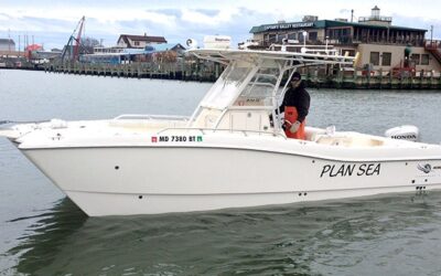 Above and Beyond is How We Roll