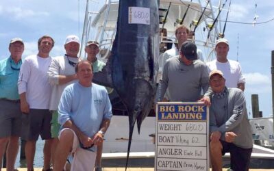 Taking the Lead on a Viking Yacht at the Big Rock Blue Marlin Tournament