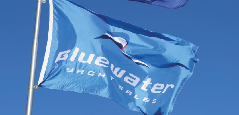 Get To Know Bluewater’s Newest Team Members