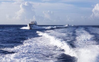 A Growing Fellowship of Princess Yachts Owners