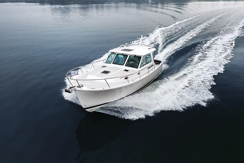 Back_Cove_372_Review