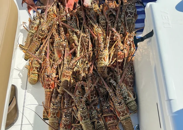 Valhalla V-41 - Altrove5