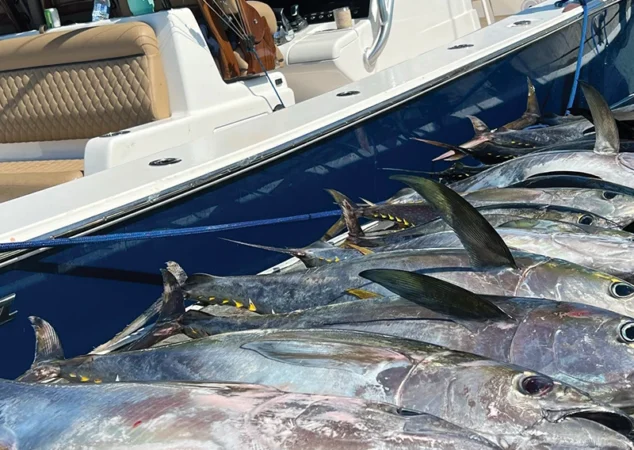 Valhalla V-41 - Altrove3