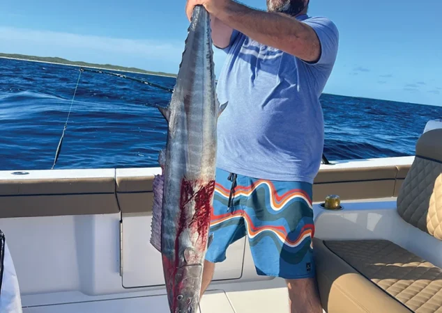 Valhalla V-41 - Altrove8