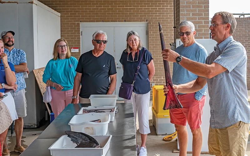 CMAST researchers showcase a marlin bill and anatomy to visiting Safe Harbor Members