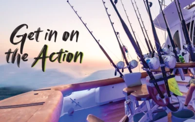 Inside the Viking Yachts & Bluewater Yacht Sales Demo Programs