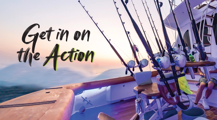 Inside the Viking Yachts & Bluewater Yacht Sales Demo Programs