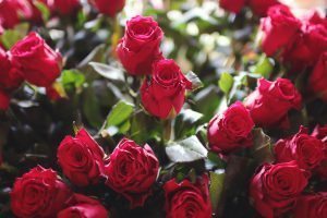 how-to-appreciate-the-present